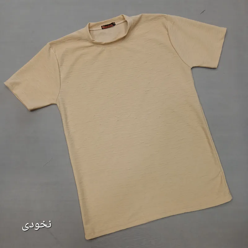 تیشرت بیسکویتی مردانه نخی ساده خنک تابستانی سایز لارج تا سه ایکس لارج